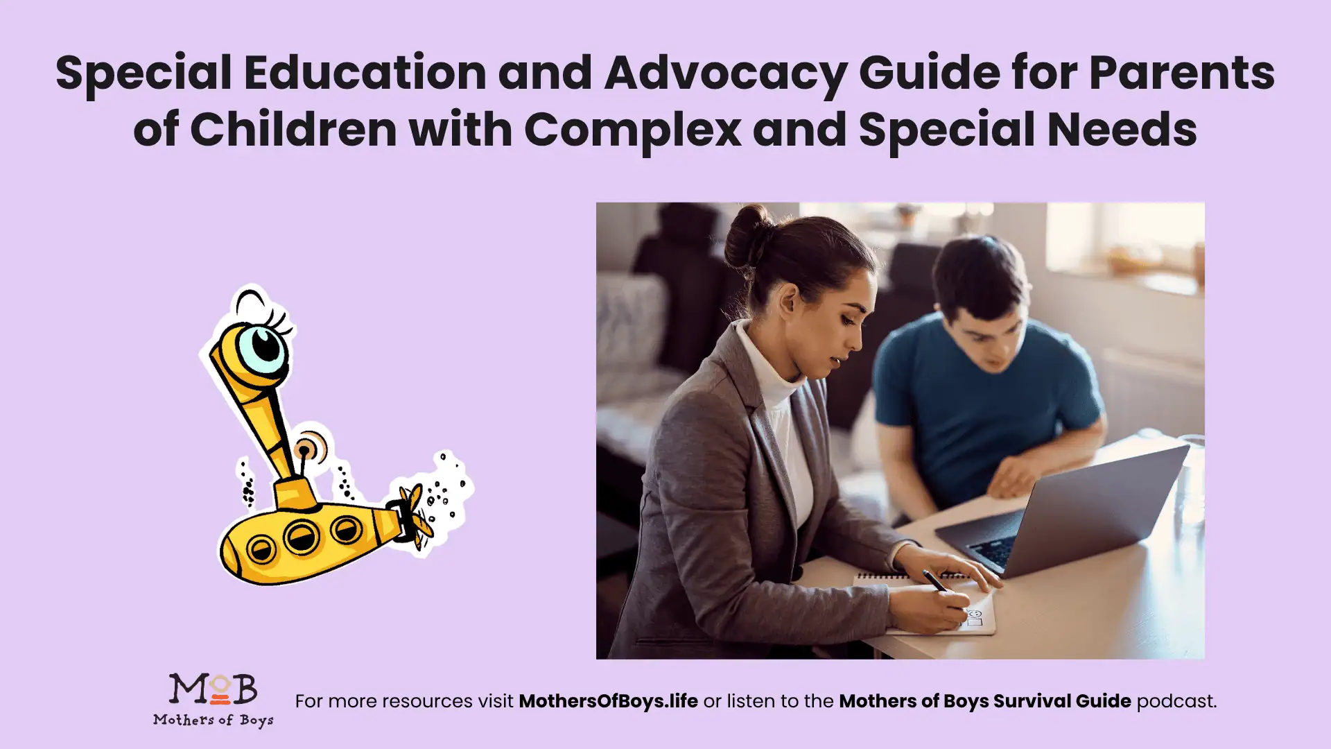 Special Education Advocate